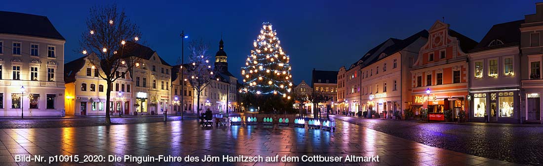 Jörn Hanitzsch überraschte mit seiner leuchtenden Pinguin-Fuhre die Cottbuser in der Innenstadt - hier auf dem Altmarkt.