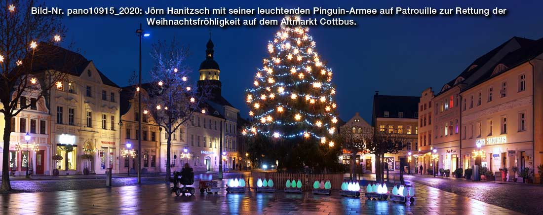 Bild-Nr. pano10915_2020: Jörn Hanitzsch mit seiner leuchtenden Pinguin-Armee auf Patrouille zur Rettung der Weihnachtsfröhligkeit auf dem Altmarkt Cottbus.