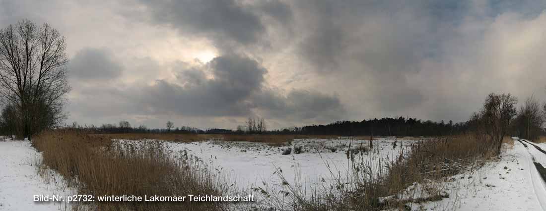 Winterliche Lakomaer Teichlandschaft